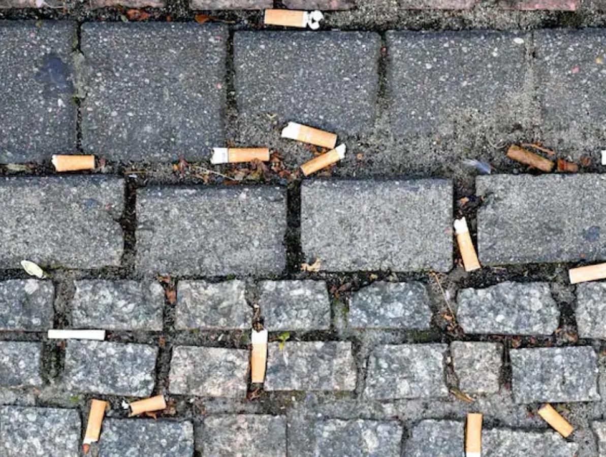 Siqaret kötüyünü yerə atmaq 250 avroya başa gələcək – 