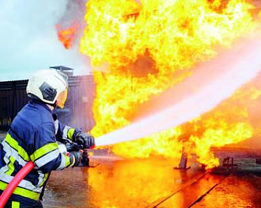 Zirzəmidə yuva salmış “cin” şüşədən necə çıxıb? 