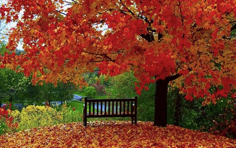 Sabah hava necə olacaq? -