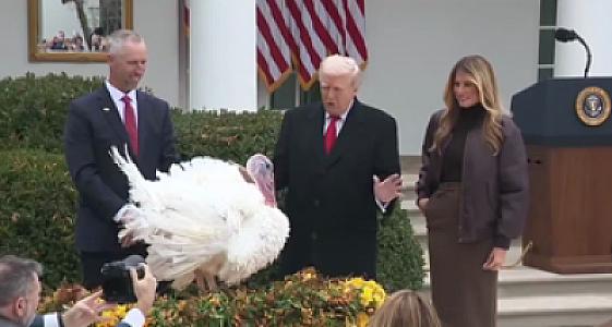 Tramp hind quşunu bağışladı - 