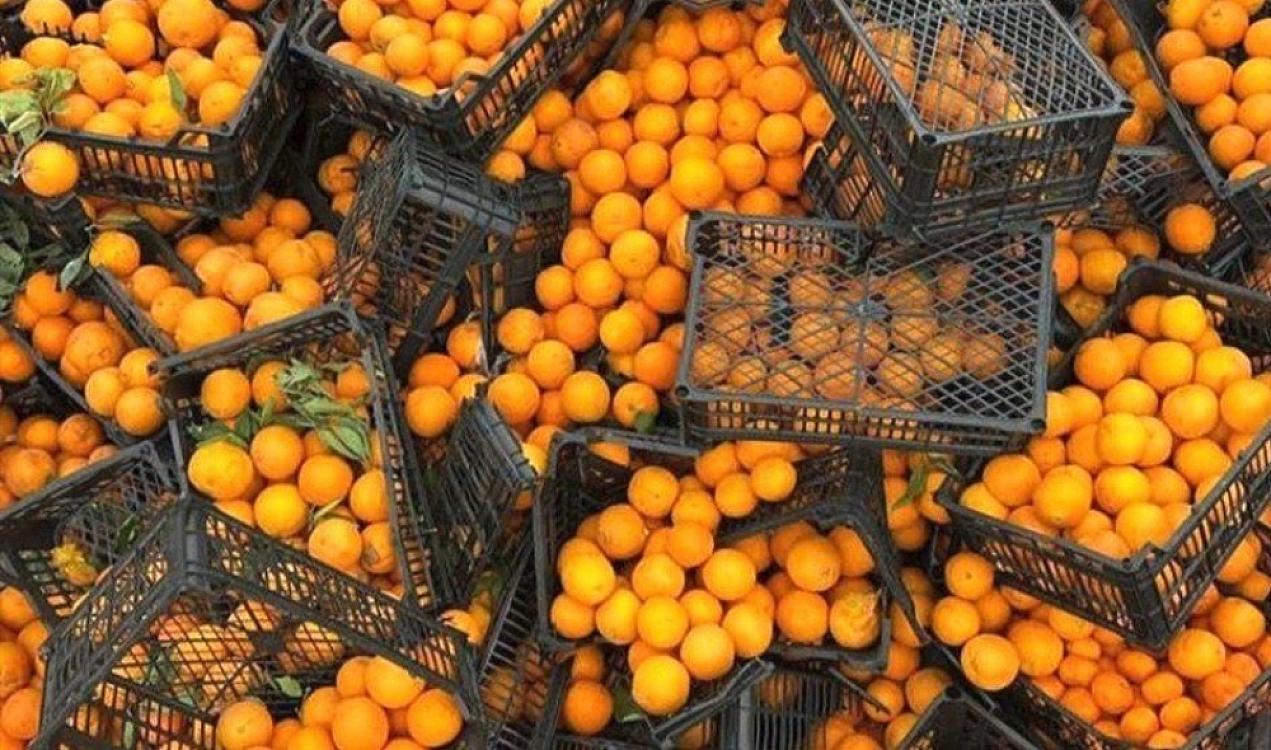 İrandan gələn portağallar rənglənir? – 