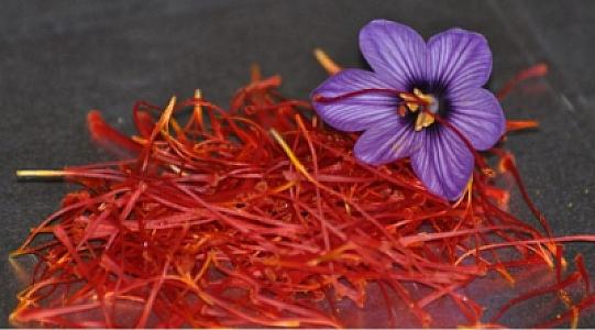 Zəfəran inanılmaz dərəcədə bahalaşdı - 