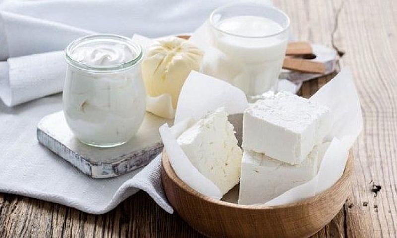 Fermentləşdirilmiş süd məhsulları 