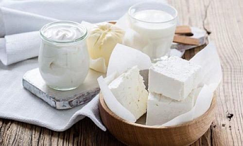 Fermentləşdirilmiş süd məhsulları 