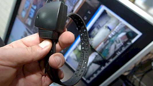 Nazirlik bu xidməti tamamilə 