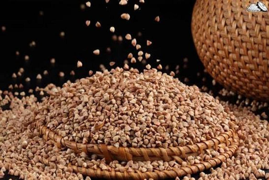 Qarabaşağın faydaları nələrdir?