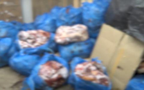 Bakıda ŞOK ƏMƏLİYYAT: 1 tondan artıq yararsız at əti aşkar olundu - 