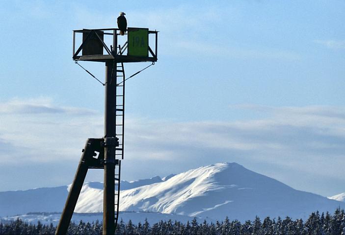 Alyaskada 7 bal gücündə zəlzələ 