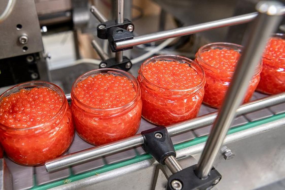 Yüksək keyfiyyətli qırmızı kürünün