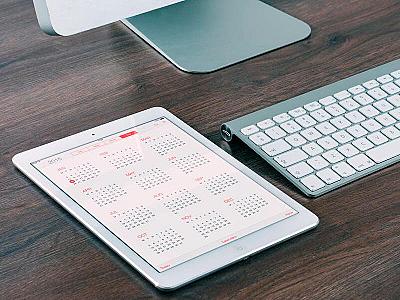 Onların məzuniyyəti 46 gün 