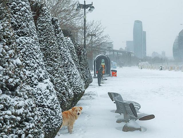 Qarsız qış sağlamlığımıza zərər vurur - 