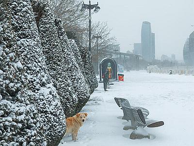 Qarsız qış sağlamlığımıza zərər vurur - 