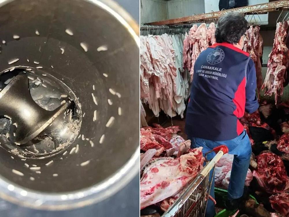 Ət maşınlarını qurd basıb - İyrənc görüntülər - 