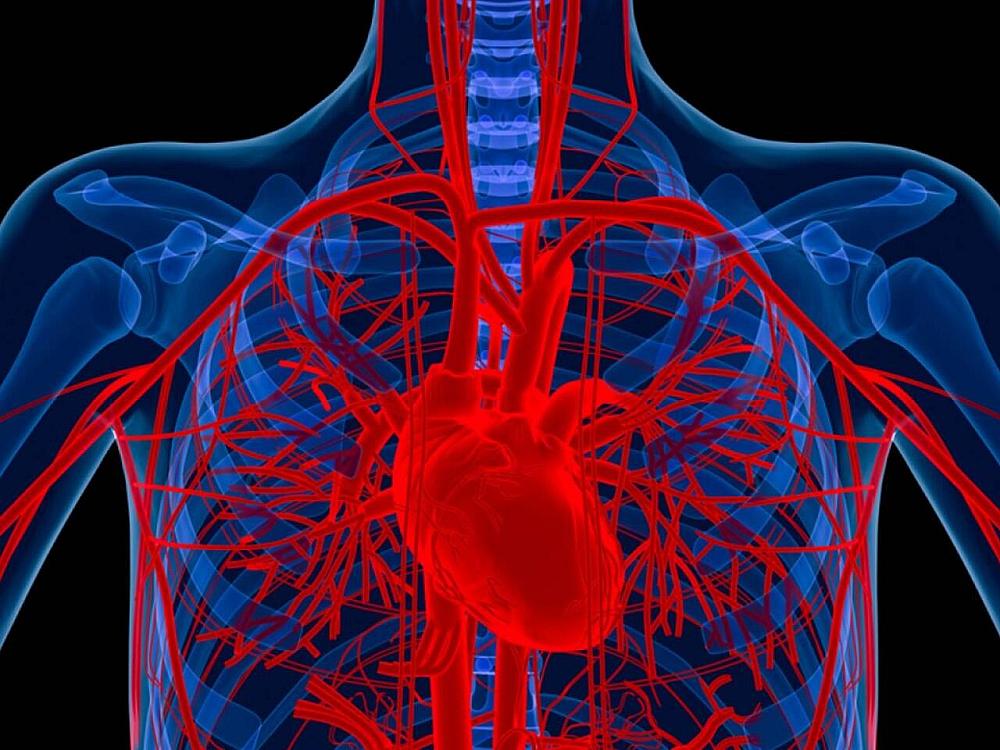 Alimlər xəstənin öz hüceyrələrindən 