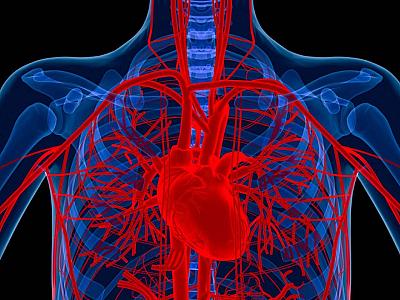 Alimlər xəstənin öz hüceyrələrindən 