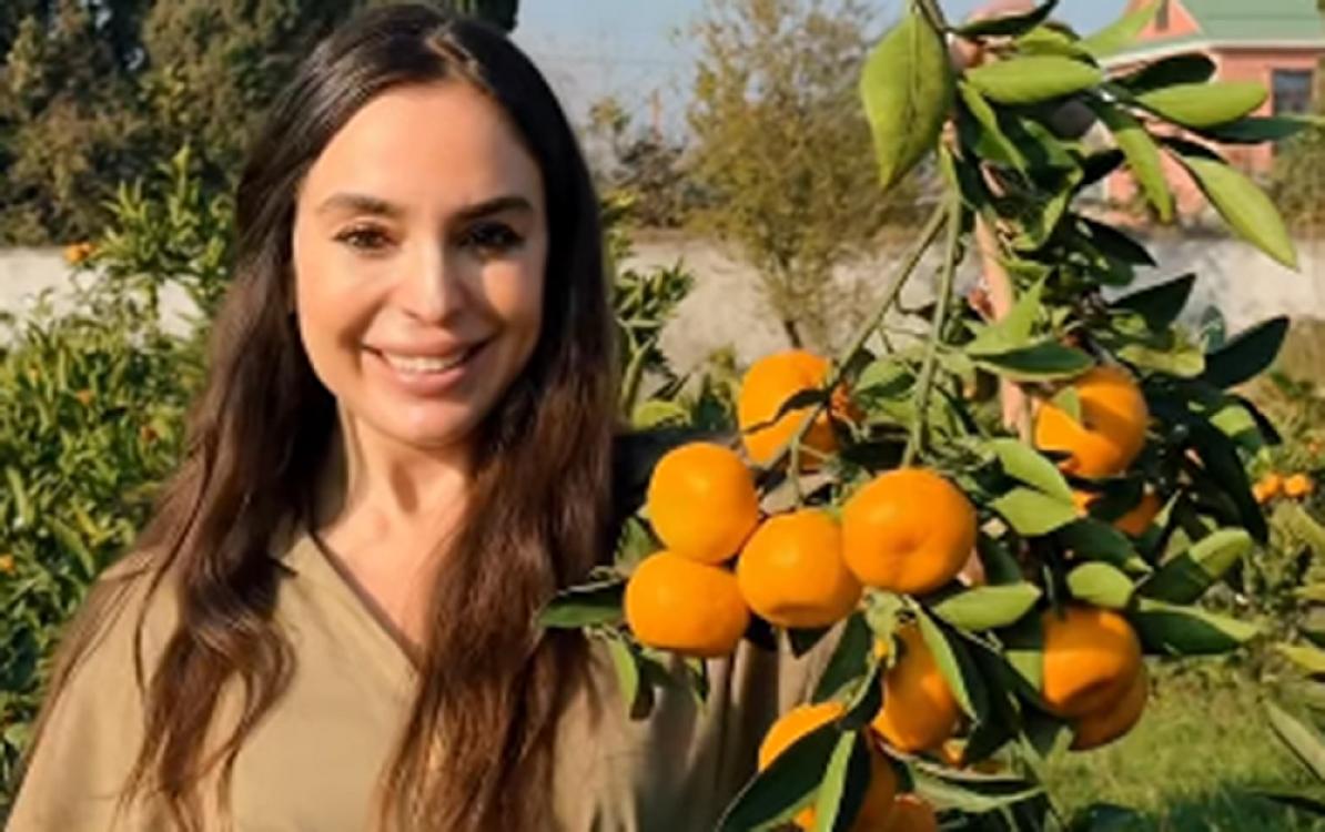 Leyla Əliyeva Lənkərandan paylaşım etdi - 