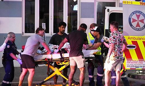 Terrorçunu tərk-silah edən üçün 