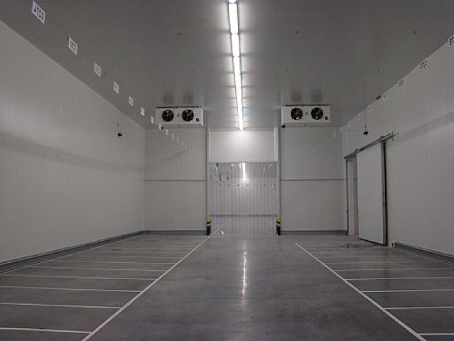 Soyuducu kamerada qadın meyiti 