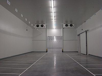 Soyuducu kamerada qadın meyiti 