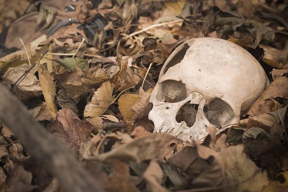 Valideynlərinin cəsədlərini 