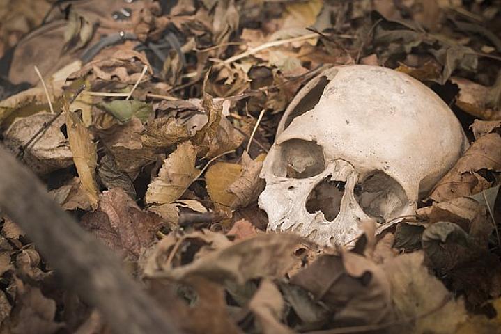 Valideynlərinin cəsədlərini 