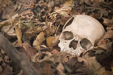 Valideynlərinin cəsədlərini 