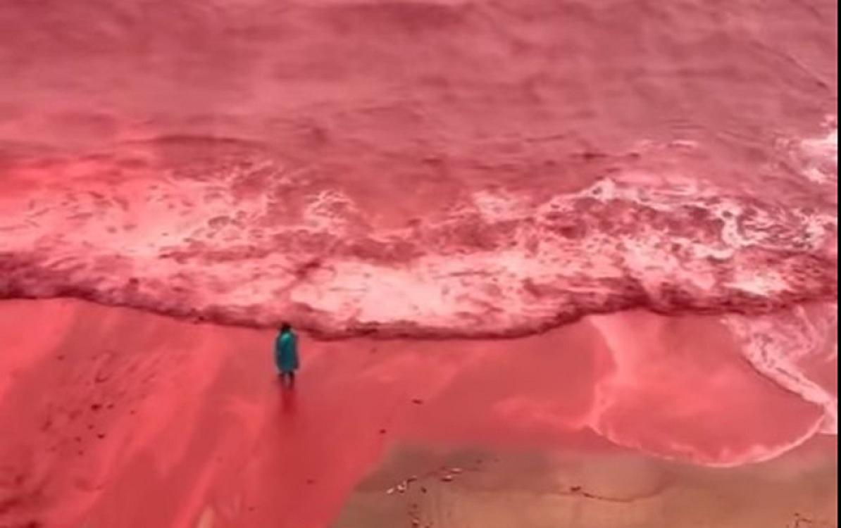 Güclü yağışdan sonra dəniz  qırmızıya boyandı - VİDEO 