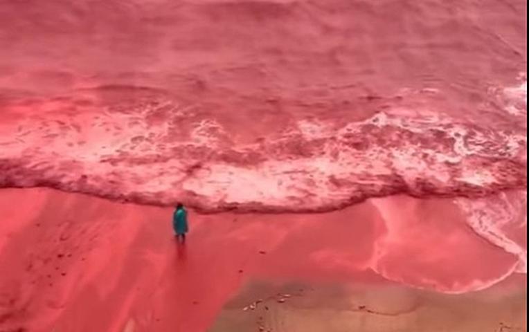 Güclü yağışdan sonra dəniz 