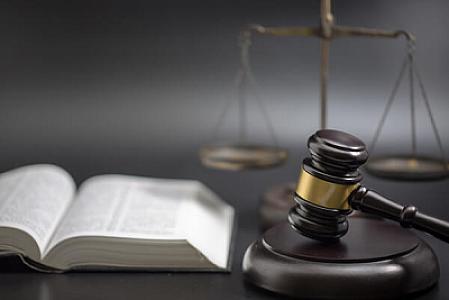 Amnistiya qərarının maddələri -