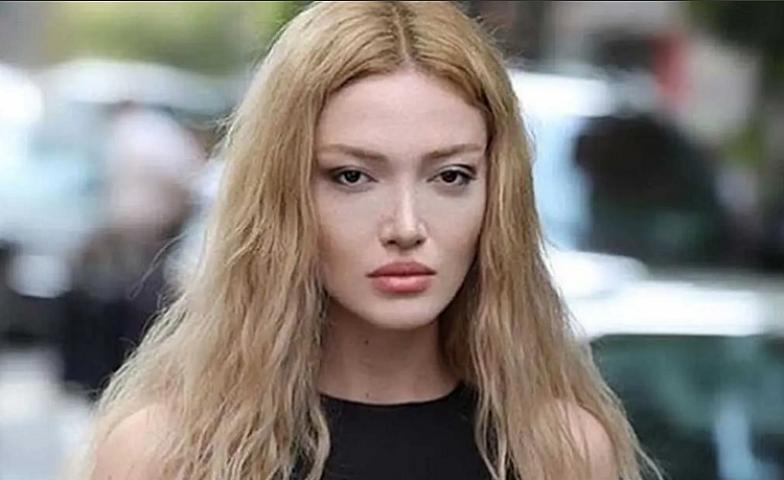 "We thought they had guests at home" – statement from Danla Bilic who was detained