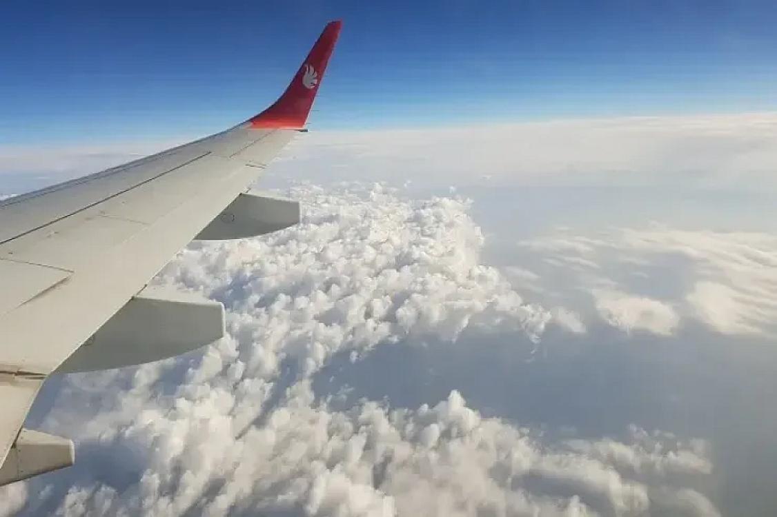 Niyə təyyarələrdə pomidor şirəsi 