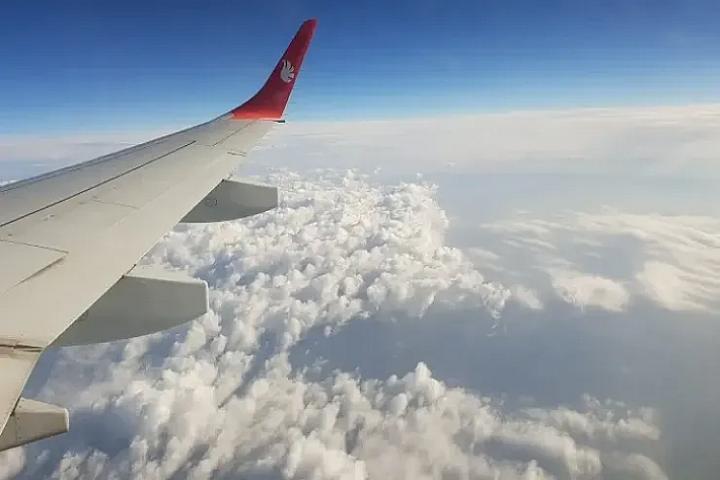 Niyə təyyarələrdə pomidor şirəsi 