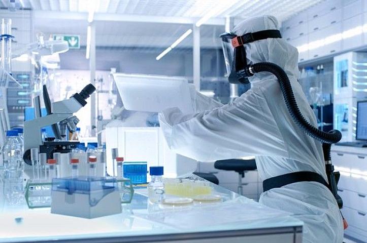 Alimlər azərbaycanlılarda