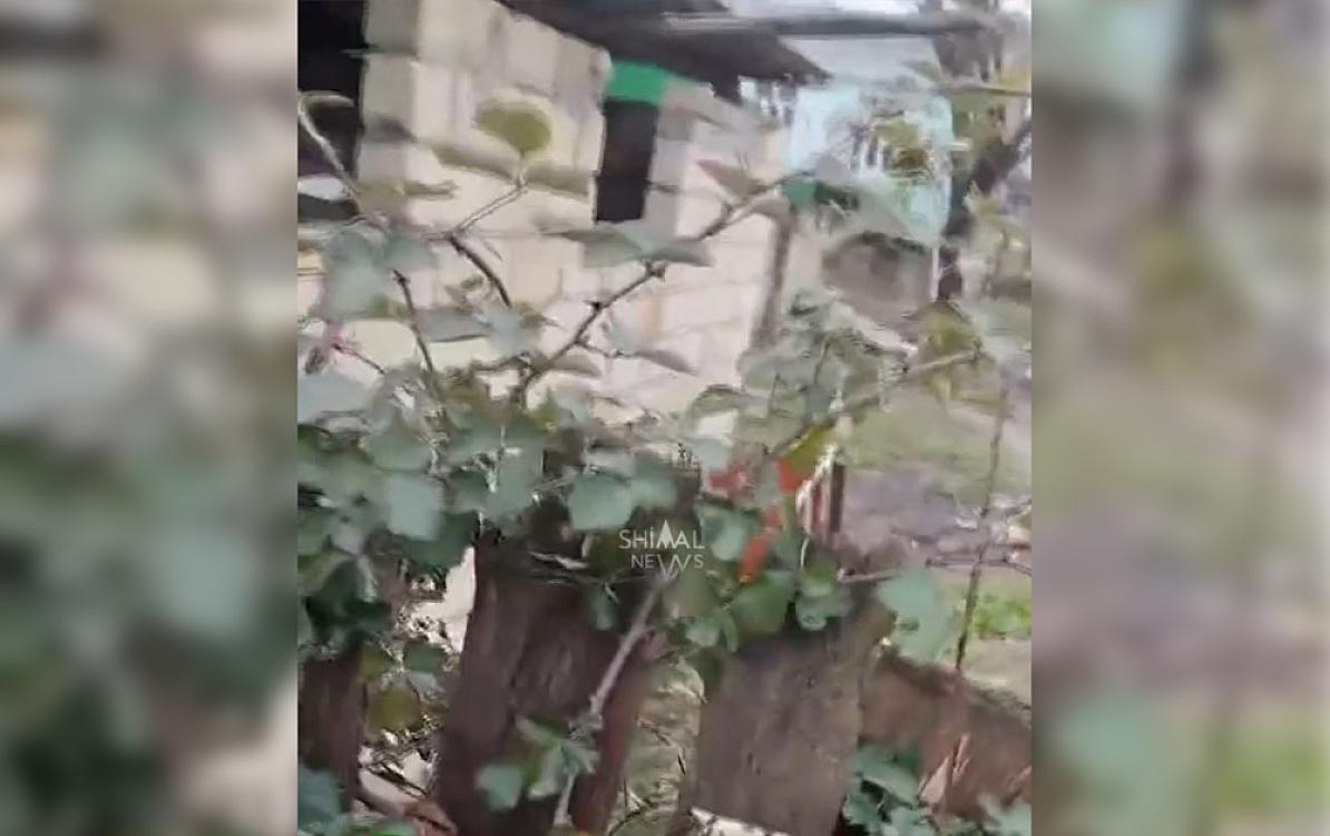 Ev sahibini öldürüb üstündə it damı tikdi - 