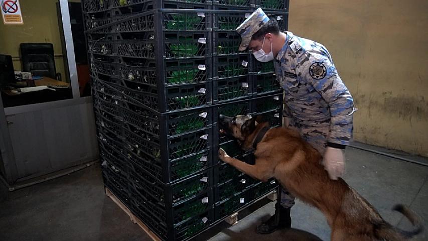  Gömrükdə 148 kiloqramdan çox narkotik aşkarlandı - 