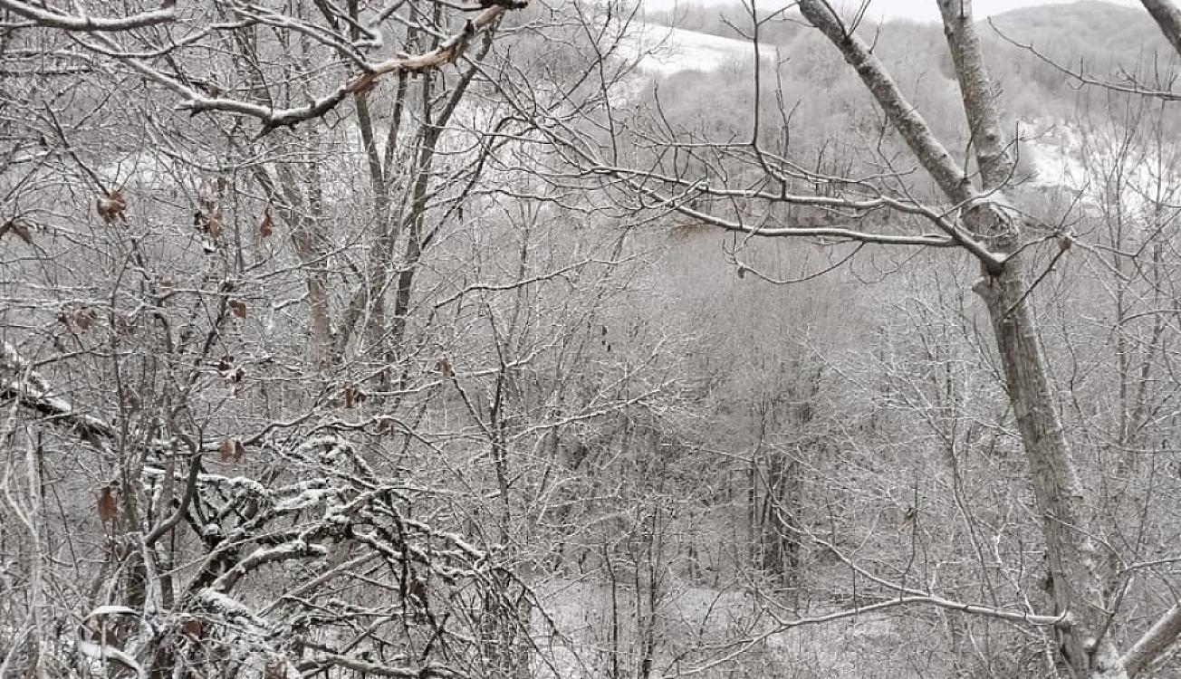 Ağdərəyə ilk qar yağdı -