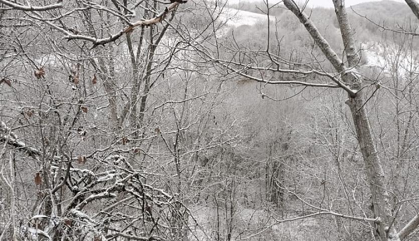 Ağdərəyə ilk qar yağdı -