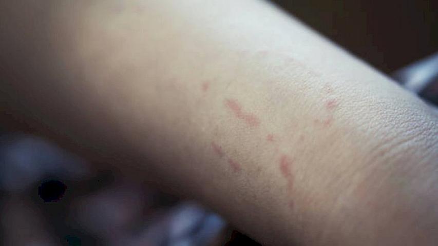 Salyanda kişi qısqanc 