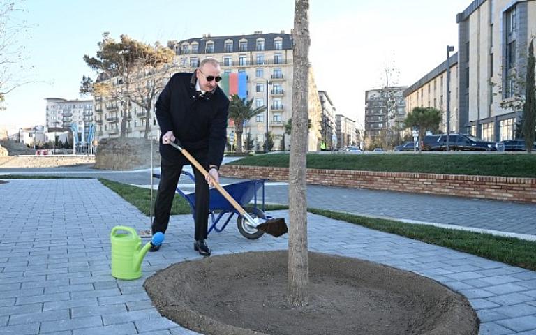 Prezident bu parkda ilk palıd ağacını əkdi -