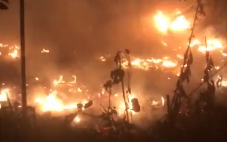 Bakıda ağaclıq sahədə yanğın baş verib -