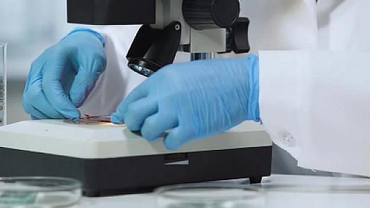 Dünyada ölümcül göbələk yayılır