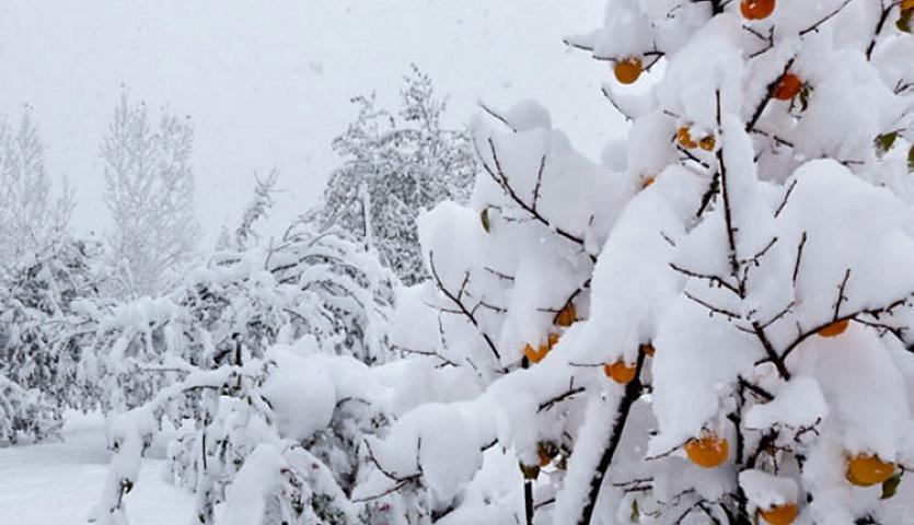 Bu bölgəyə 30 sm qar yağdı