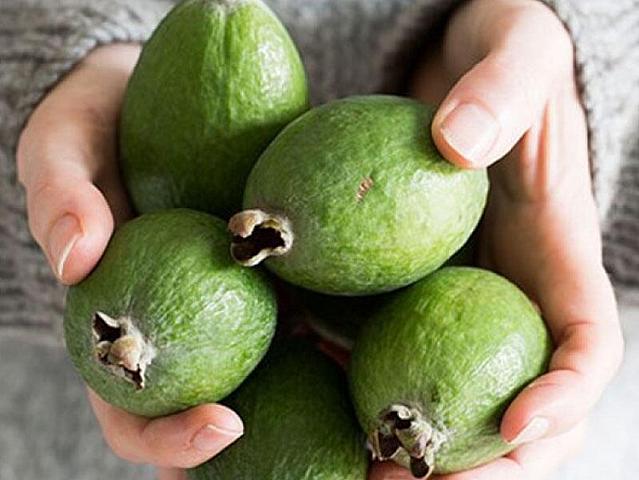 Yodla zəngin feyxoa möcüzəsi - 