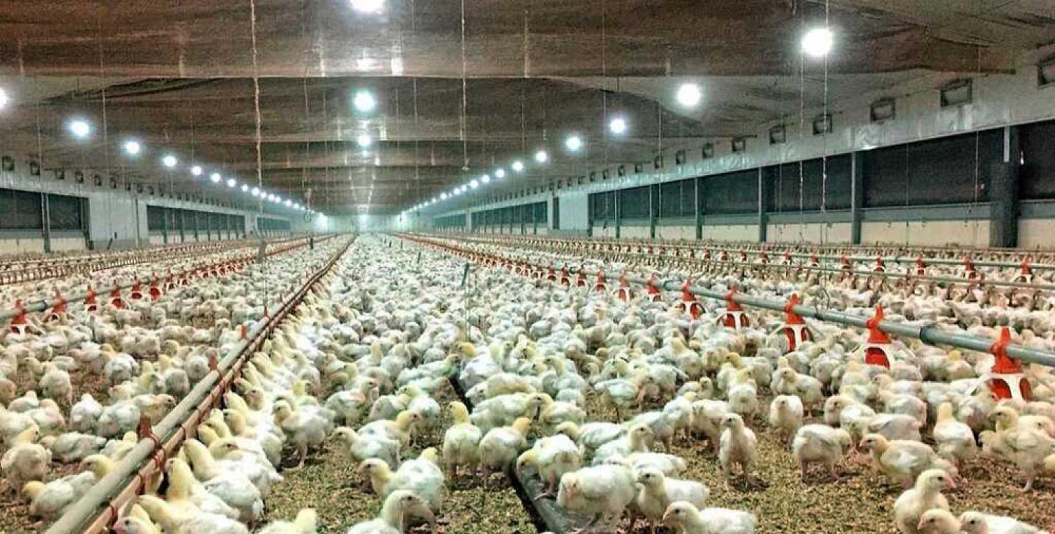 Abşeronda milyonlarla manata olan zavod satışa çıxarıldı -