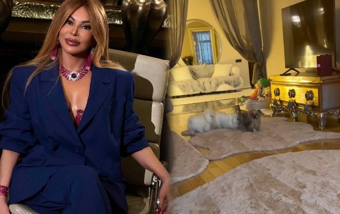 Aygün Kazımovanın evi - 