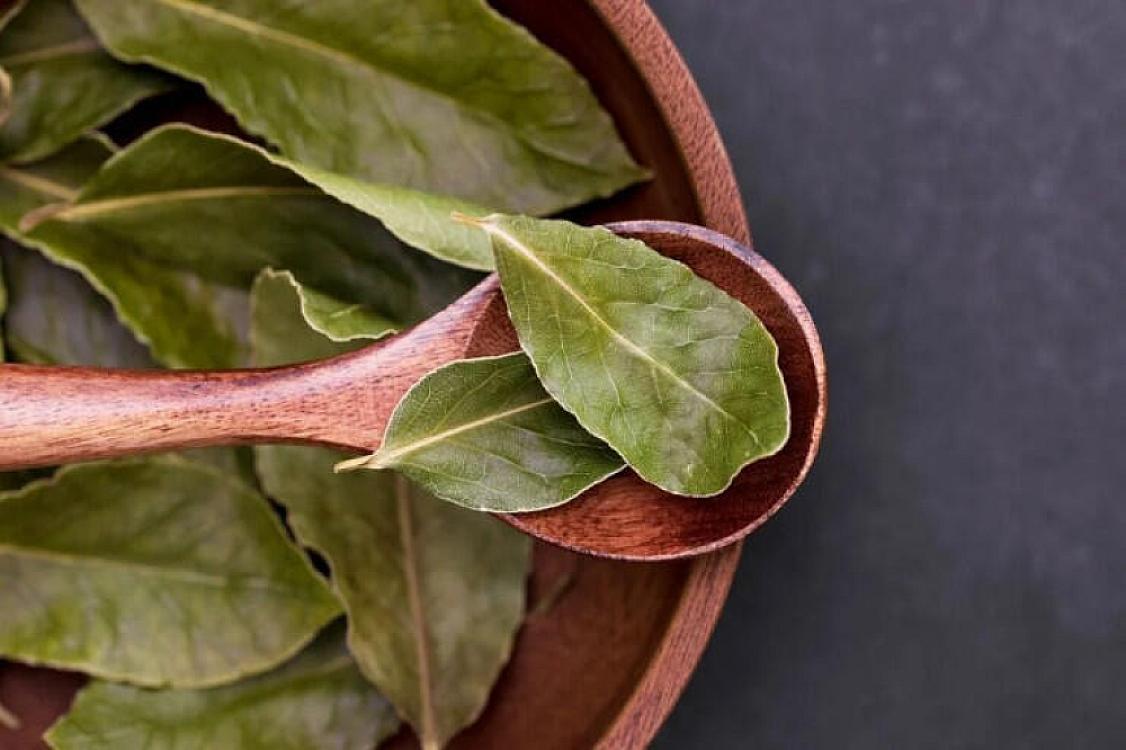 Положите лавровый лист в эти 3 места дома