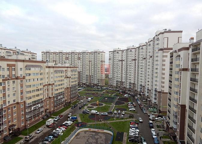 Kirayə statistikası: 