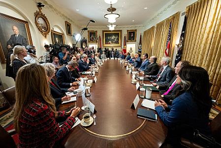 Tramp və komandası