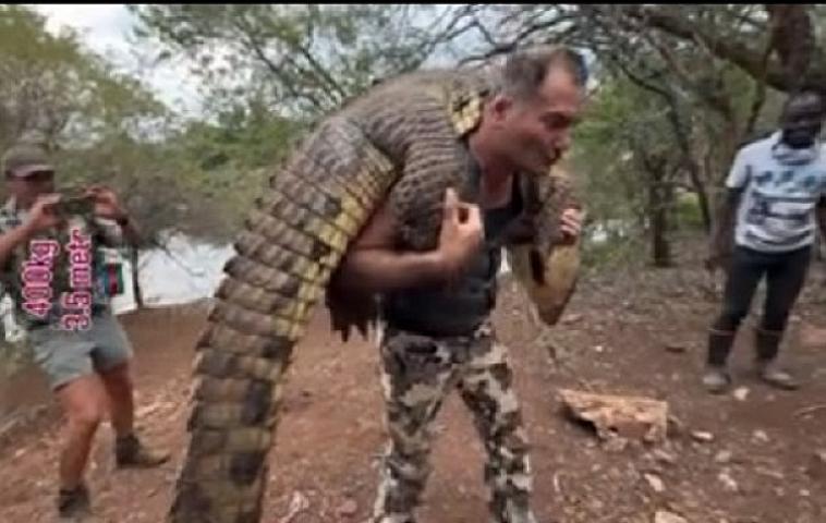 Azərbaycanlı ovçu 400 kiloluq Nil timsahını OVLADI - 