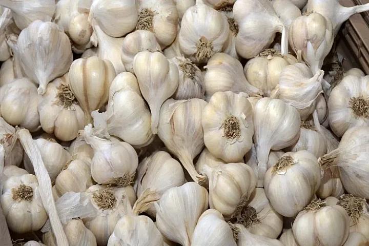 Sarımsağı soyuducuda 